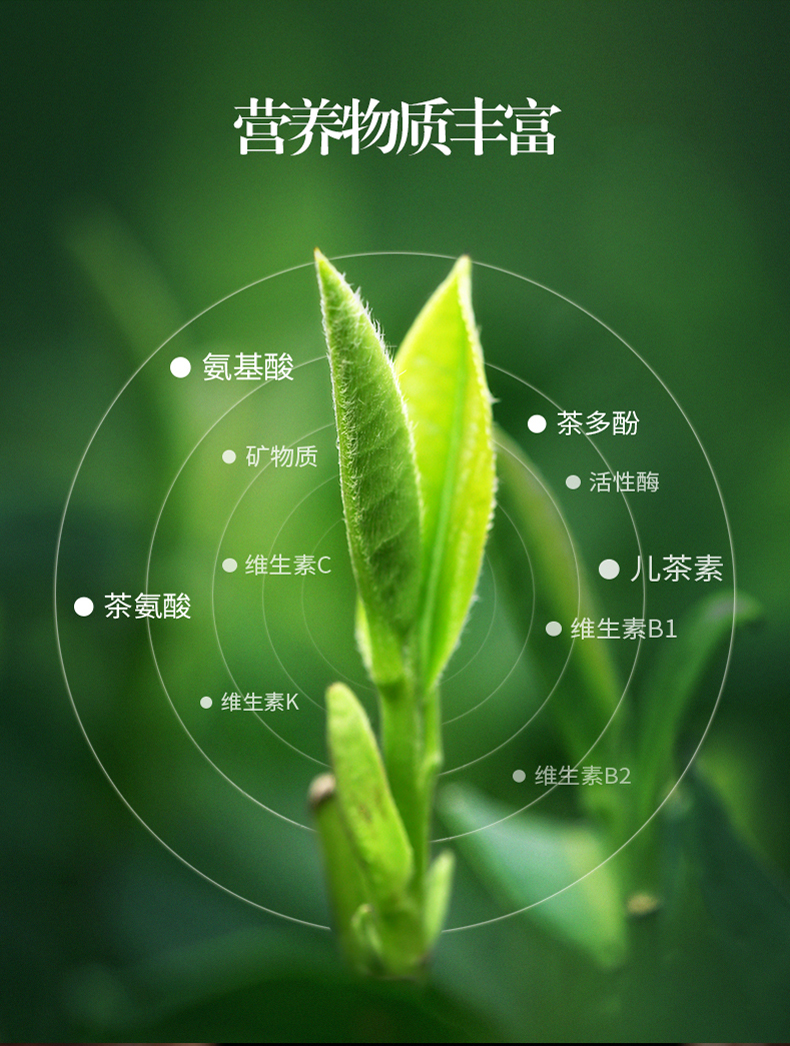 新版昔日重来详情002_04.jpg